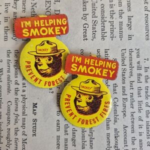 Smokey The Bear Lapel Pin